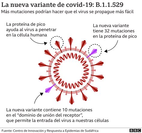 covid nueva variante - covid sintomas atuais